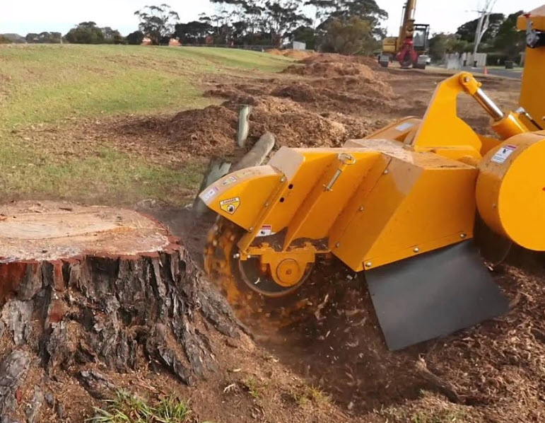 Stump Grinding Rochester