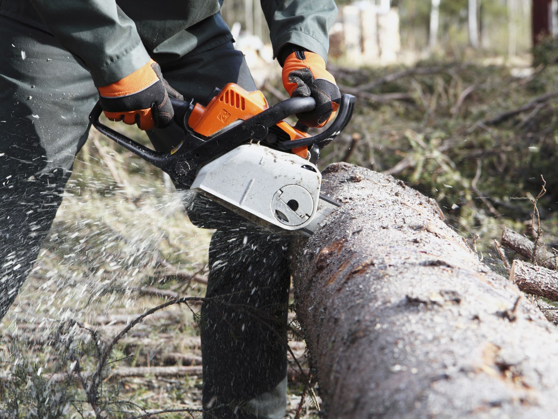 Tree Cutting Rochester